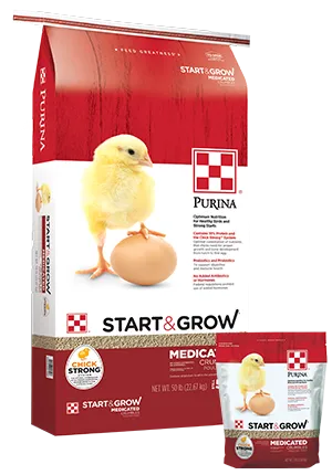 Flock_Purina-Start-Grow-Medicated_50-lb-5-lb-bags-1
