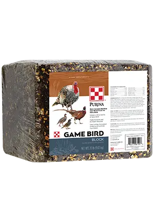 Game-Bird-Block_rs