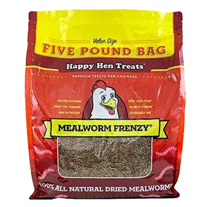 Mealworm-frenzy (1)