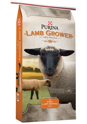 Product_Sheep_Purina-Lamb-Grower